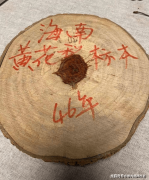 海南黄花梨手串才是实正